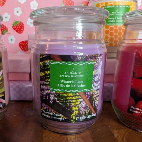 Spring Scented Candles | 17oz | 6 Amazing Fragrances | Brand New | $10 Each - Picture 4 of 7